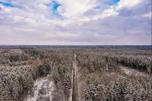Room For Text Prints: Idyllic winter panorama from an aerial view with a snow-covered forest and a to the horizon leading road