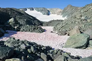 At IGAN glacier. Polar Ural Mountains, Russia