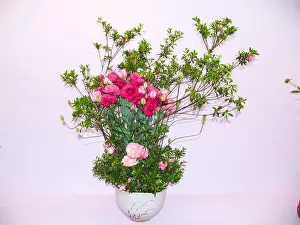 Bonsai Prints: Ikebana. Dwarf trees in pots Houseplants Dwarf trees in pots
