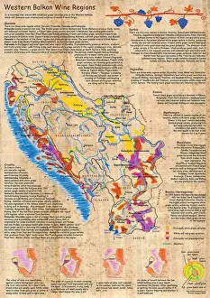 Taste Prints: Illustrated Map of Western Balkan Wine Regions - Croatia