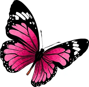 Butterflies Prints: illustration of a beautiful colorful butterfly that flies