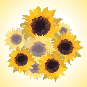 Flores Prints: Illustration of bouquet with sunflowers