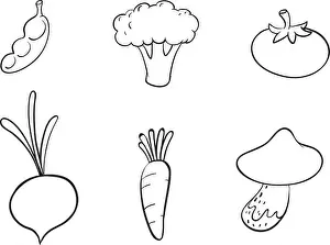 Mushroom Prints: illustration of sketches of vegetables on a white background