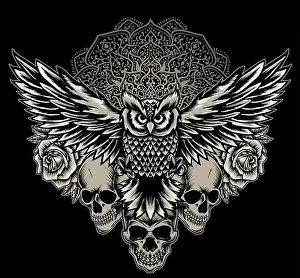 Mandala Prints: illustration vector owl bird with skull and rose flower