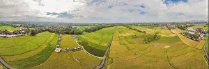 Rice Field Prints: Image of beautiful Terraced rice field in water season and Irrigation from drone