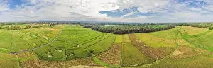 Rice Field Prints: Image of beautiful Terraced rice field in water season and Irrigation from drone