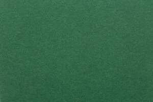 Images Dated 21st September 2016: Image of green paper as a background