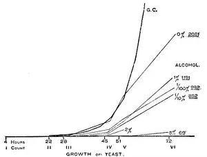 Hours Prints: This image from PSM V50 D618 shows the progression of yeast growth within the first 24 hours