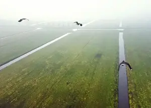This is an image shot by Drone in the early morning in the polder Alblasserwaard in the Netherlands