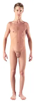 Human Body Prints: This image shows a boy during puberty