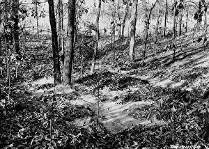 Fertility Prints: This image shows eroded topsoil