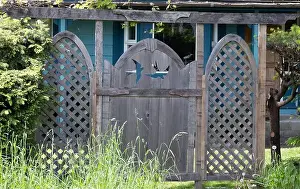 Swallow Prints: These images may contain a fence or a gate or both. Enjoy!