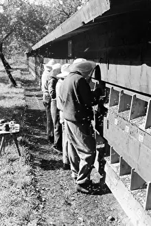 Poison Prints: Imker in Schutzanzügen untersuchen das Bienenvolk in einem Bienenhaus