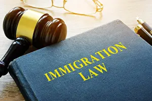 Citizenship Prints: Immigration law and gavel in a court