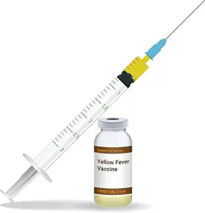 Receiving Prints: Immunization, Yellow Fever Vaccine Syringe With Yellow Vaccine