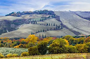 Characteristic Prints: Impressive autumn landscape, panoramic view, Tuscany, Italy