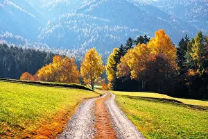 Incredible autumn view at Italian Dolomite Alps. Orange larches forest and foggy blue mountains on background. Dolomites, Italy. Landscape photography