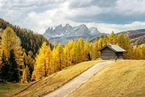 Incredible autumn view at Valfreda valley in Italian Dolomite Alps. Wooden cabin, yellow grass
