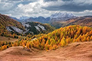 Incredible autumn view at Valfreda valley in Italian Dolomite Alps. Yellow grass, orange larches forest and snowy mountains peaks on background