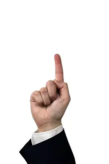 Index Prints: index fingers
