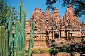 Sky Travel Prints: India Rajasthan Jodhpur Mandore Gardens and cactus