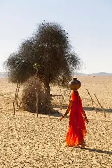 Rajasthani Prints: India, Rajasthan, Thar Desert, Indian woman carrying traditional water pot
