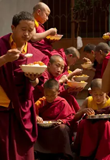 Lama Prints: India, South Asia, Sikkim, Buddhist Monks eating food at lunch break in monastery
