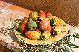 Pflanzen Prints: Indian fig opuntia, barbary fig