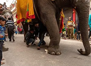 Mela Prints: indian priest sit on elephant and ride during the kumbh mela in haridawar