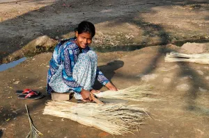 Brushes Prints: Indian woman sitting on the floor making traditional grass reed brushes Rajasthan India