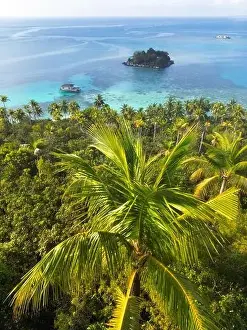 Indonesia Anambas Islands - Drone view Telaga Island coast line with palm trees