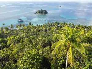 Anambas Islands Prints: Indonesia Anambas Islands - Drone view Telaga Island coast line with palm trees