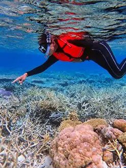 Fourties Prints: Indonesia Anambas Islands - Woman snorkeling in coral reef