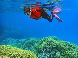 Fourties Prints: Indonesia Anambas Islands - Woman snorkeling in coral reef