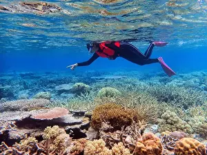 Fourties Prints: Indonesia Anambas Islands - Woman snorkeling in coral reef