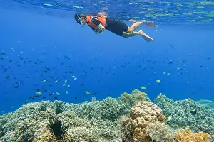 Marine Park Prints: Indonesia Bunaken - Marine life Coral reef - snorkeling