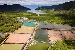 industrial shrimp farm next to mangrove forest and ocean in National park