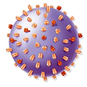 Virion Prints: Influenza virus, drawing