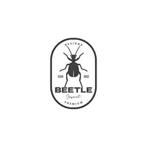 Spider Prints: insect lice logo design badge