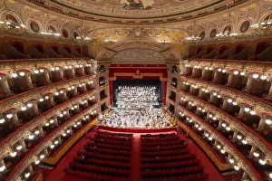 Velvet Prints: Inside the Vincenzo Bellini Theater Teatro Massimo Bellini