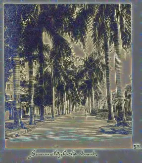 1906 Prints: Inspired by Sommeldijksche straat