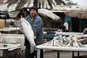 Baghdad Prints: Iraqi fisherman holds a big carp fish in Baghdad, Iraq