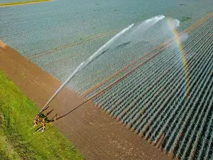 Irrigation system in industrial cultivation of vegetables in agriculture with water and rainbow as aerial view