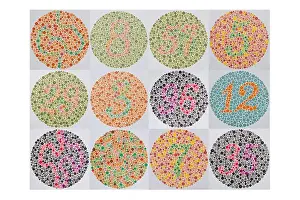 Screening Prints: Ishihara color vision test plates used for color blindness screening