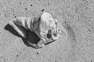 Isla Mujeres Beach Detail