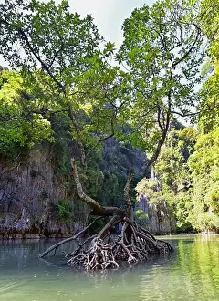 Asia Islands Prints: Island, Ocean views near Phuket Thailand with Blues