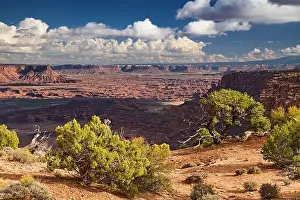 Island in the Sky, Canyonlands National Park, Utah, USA