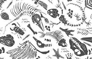 Isolated black stencil imprints skeletons of prehistoric animals
