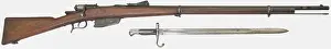 Militaria Prints: An Italian Vetterli rifle pattern 1871/87/16