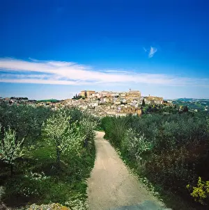 Paesaggio Prints: Italy Abruzzo Loreto Aprutino -